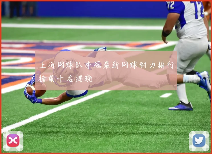上海网球队夺冠最新网球耐力排行榜前十名揭晓