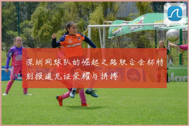深圳网球队的崛起之路联合会杯特别报道见证荣耀与拼搏